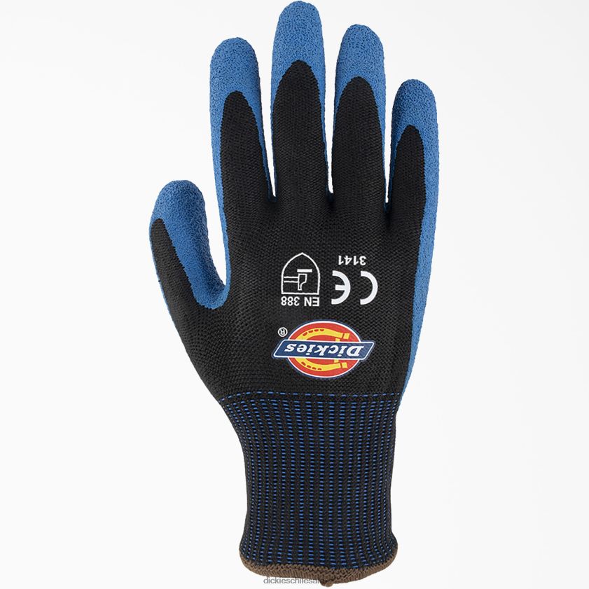 negro (negro) unisexo guantes de trabajo recubiertos de látex arrugado Dickies accesorios X4H0F3027