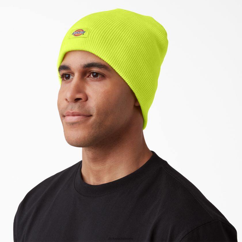 amarillo neón (ew) unisexo gorro cálido con aislamiento flexible Dickies accesorios X4H0F1477