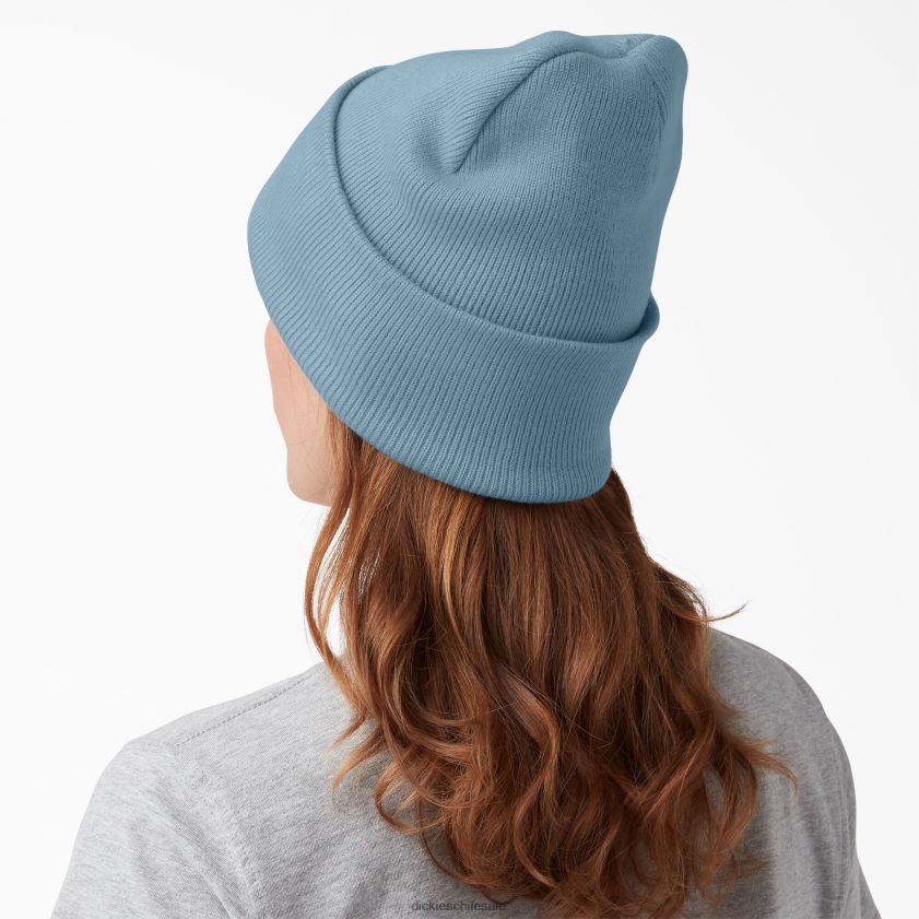 azul claro (ue) unisexo gorro tejido con puños Dickies accesorios X4H0F1486