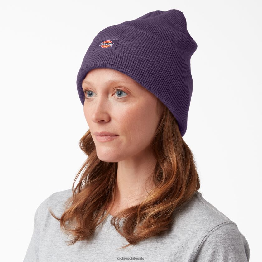 brezo púrpura polvoriento (zu2) unisexo gorro tejido con puños Dickies accesorios X4H0F1506