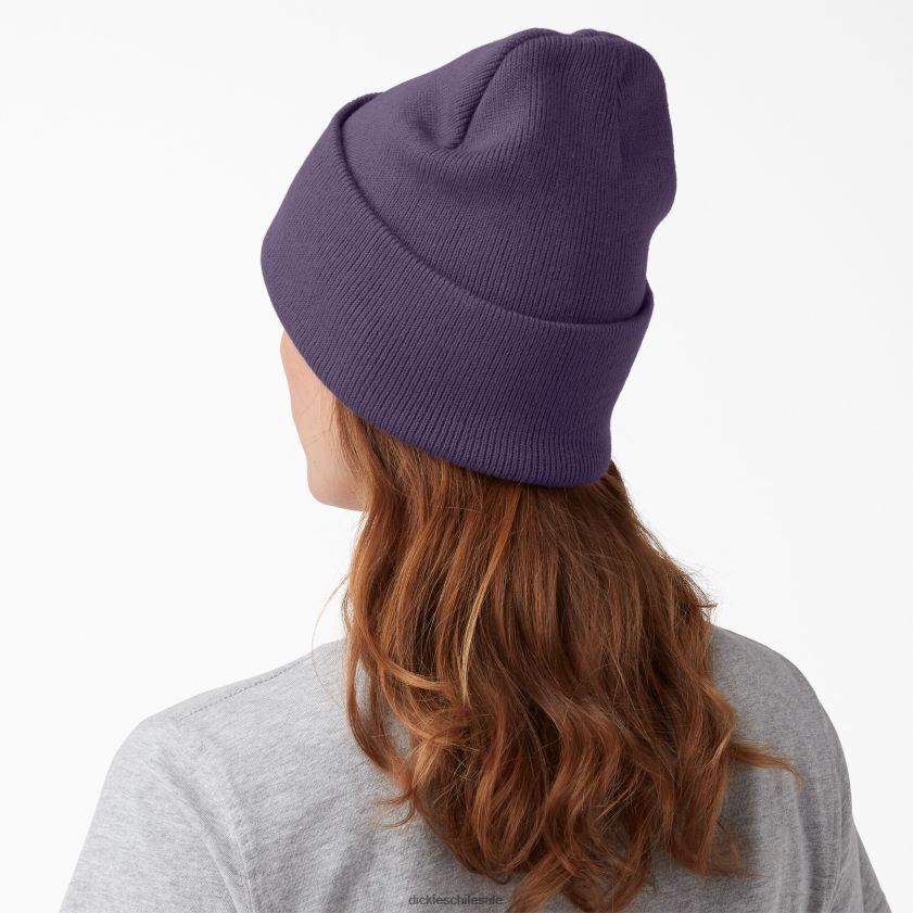 brezo púrpura polvoriento (zu2) unisexo gorro tejido con puños Dickies accesorios X4H0F1506