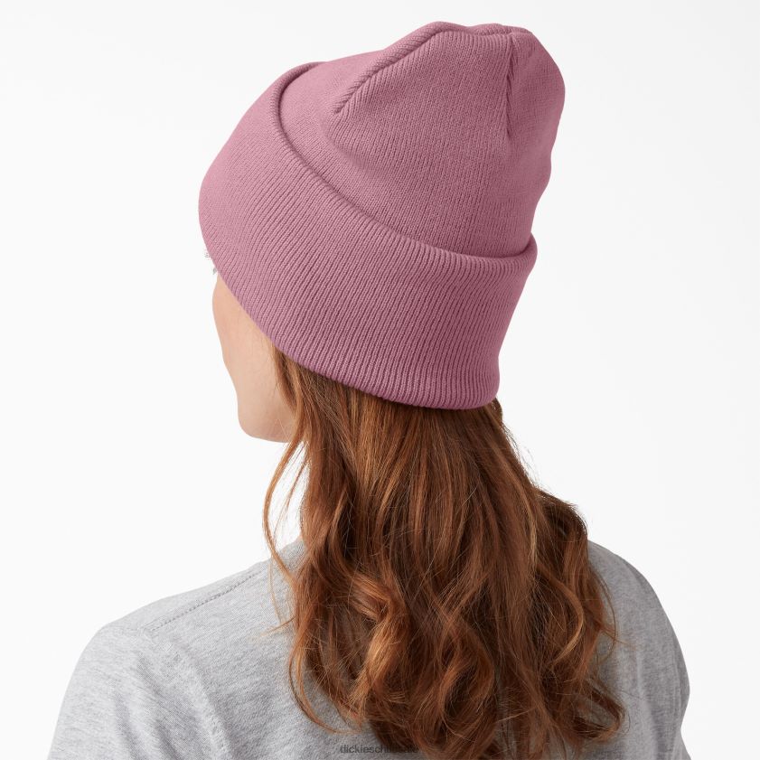 dedalera (f2g) unisexo gorro tejido con puños Dickies accesorios X4H0F1488