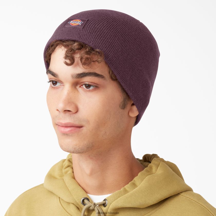 granate (señor) unisexo gorro de calavera Dickies accesorios X4H0F2877