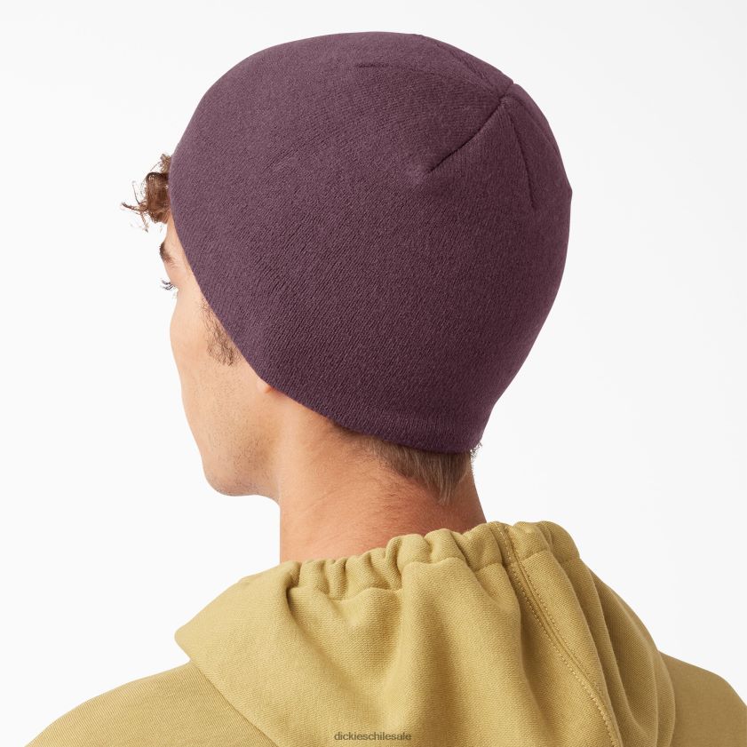 granate (señor) unisexo gorro de calavera Dickies accesorios X4H0F2877