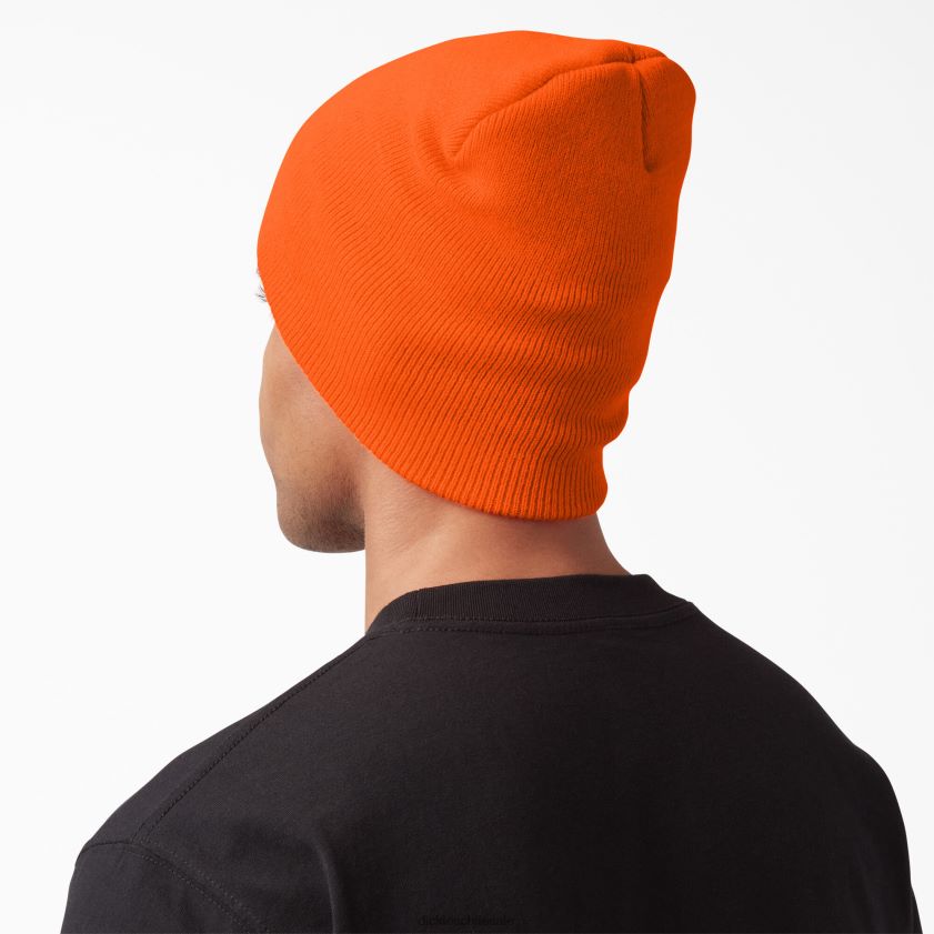 naranja neón (na) unisexo gorro cálido con aislamiento flexible Dickies accesorios X4H0F1479