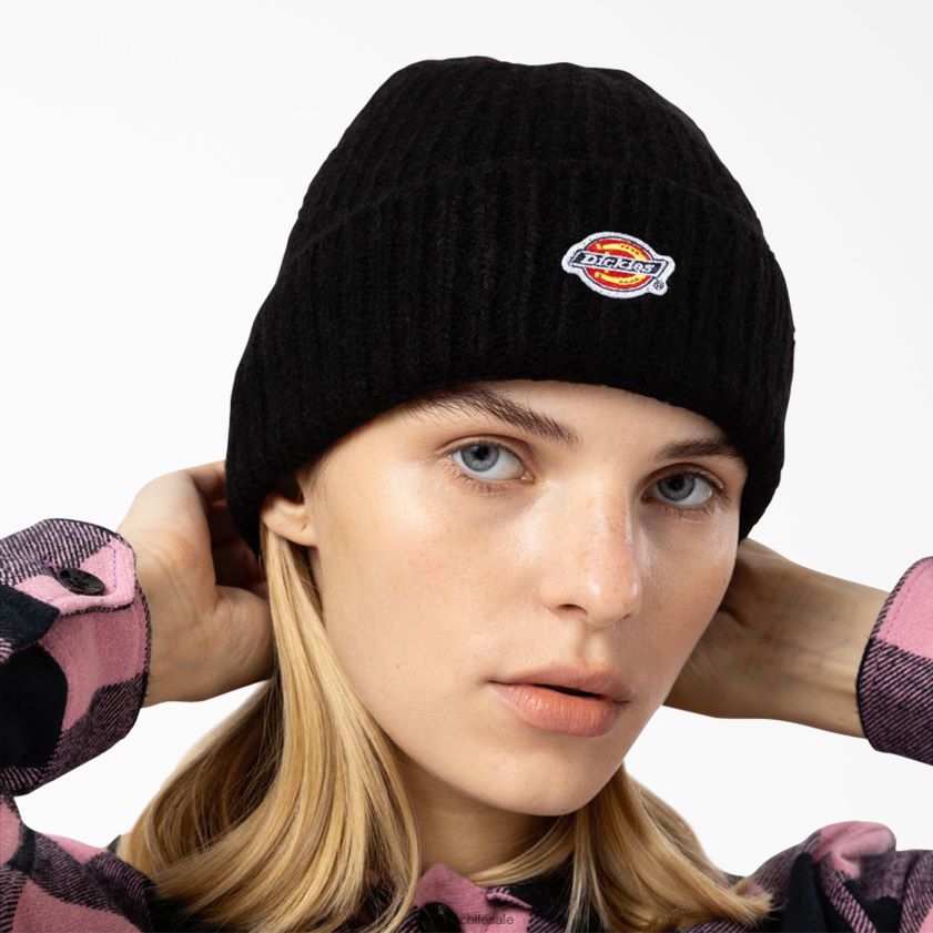 negro (negro) unisexo gorro brewton Dickies accesorios X4H0F2815