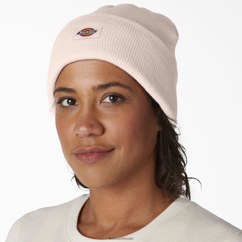 rosa loto (zlo) unisexo gorro tejido con puños Dickies accesorios X4H0F1503