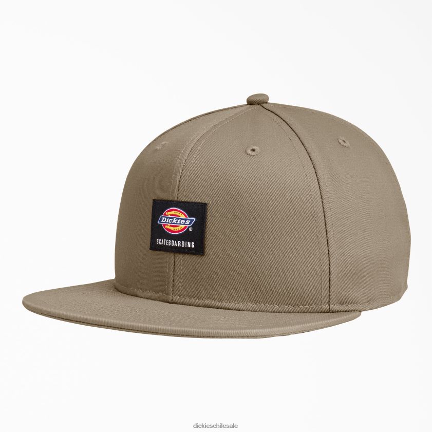 arena del desierto (ds) unisexo gorra plana de skate Dickies accesorios X4H0F2845
