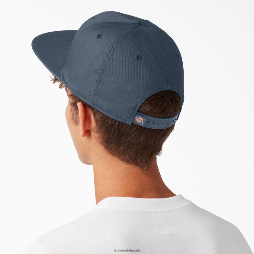 azul de la fuerza aérea (af) unisexo gorra plana de skate Dickies accesorios X4H0F2841