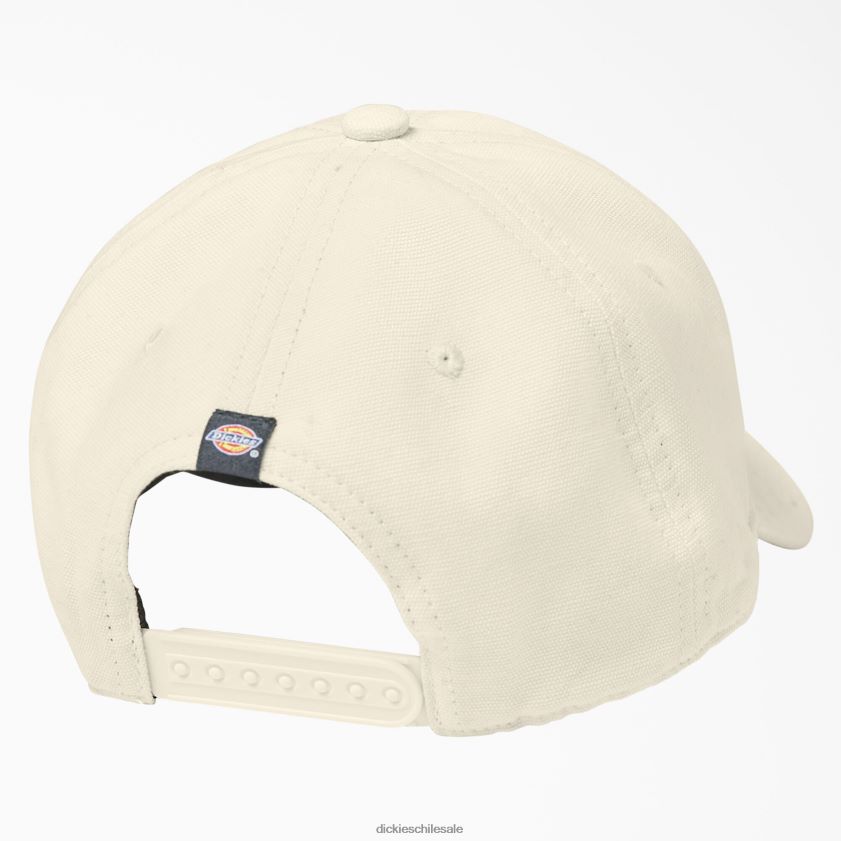 beige natural (nt) unisexo gorra de lona lavada Dickies accesorios X4H0F2887