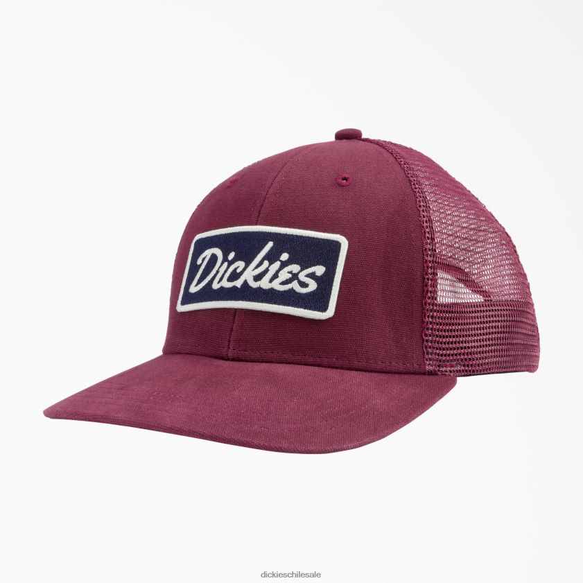 granate (señor) unisexo gorra trucker con parche del logo Dickies accesorios X4H0F2909