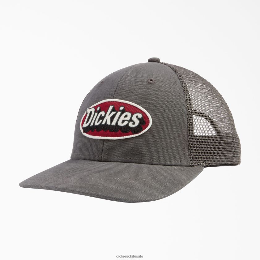 gris pizarra (sl) unisexo gorra trucker con parche del logo Dickies accesorios X4H0F2910