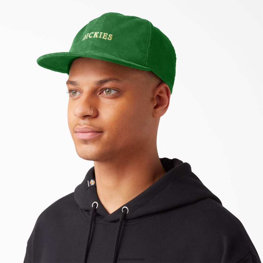 hoja verde (gf) unisexo gorra de pana vincent alvarez Dickies accesorios X4H0F2861