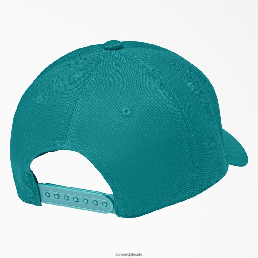 lago profundo (dl2) unisexo 874 gorra de sarga Dickies accesorios X4H0F1465