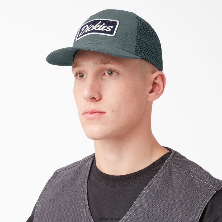 lincoln verde (ln) unisexo gorra trucker con parche del logo Dickies accesorios X4H0F2908