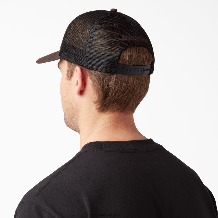 marrón chocolate (cb) unisexo gorra de camionero de lona Dickies accesorios X4H0F2800