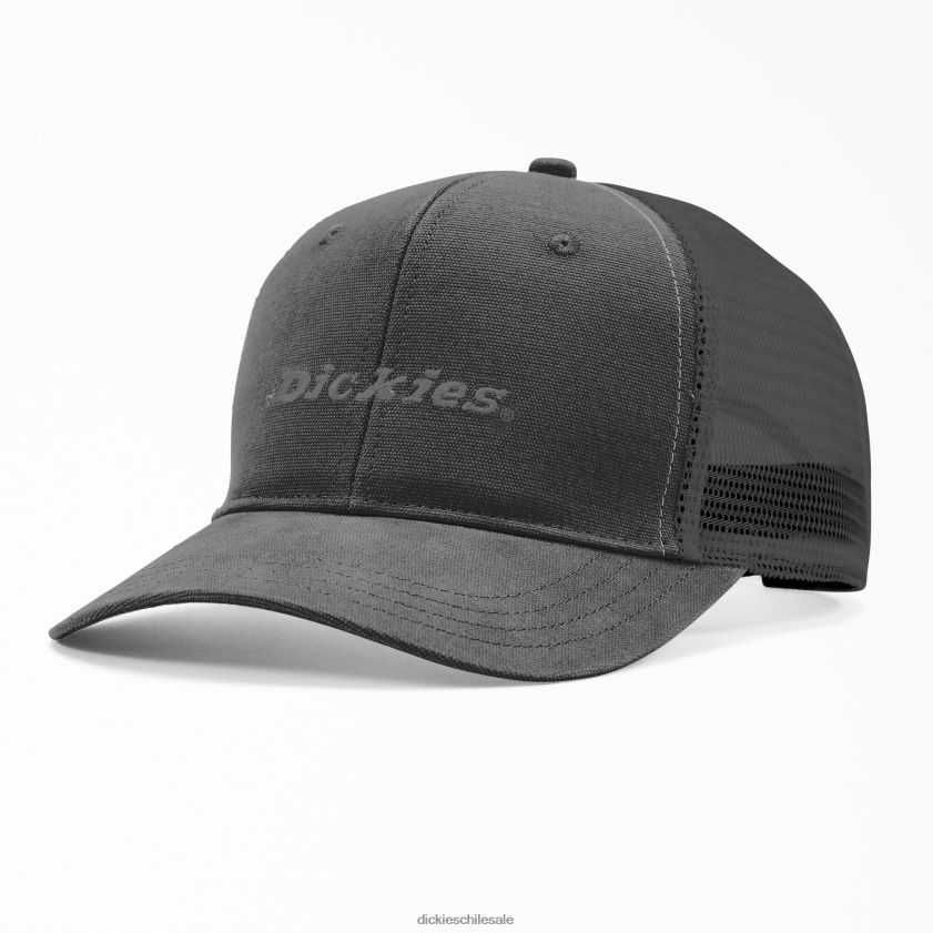 negro (negro) unisexo gorra trucker bicolor Dickies accesorios X4H0F2862