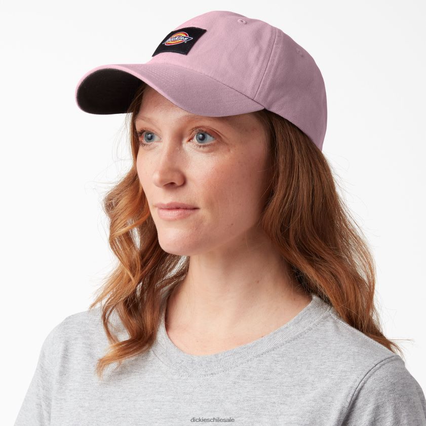 sombras malvas (vs) unisexo gorra de lona lavada Dickies accesorios X4H0F2890