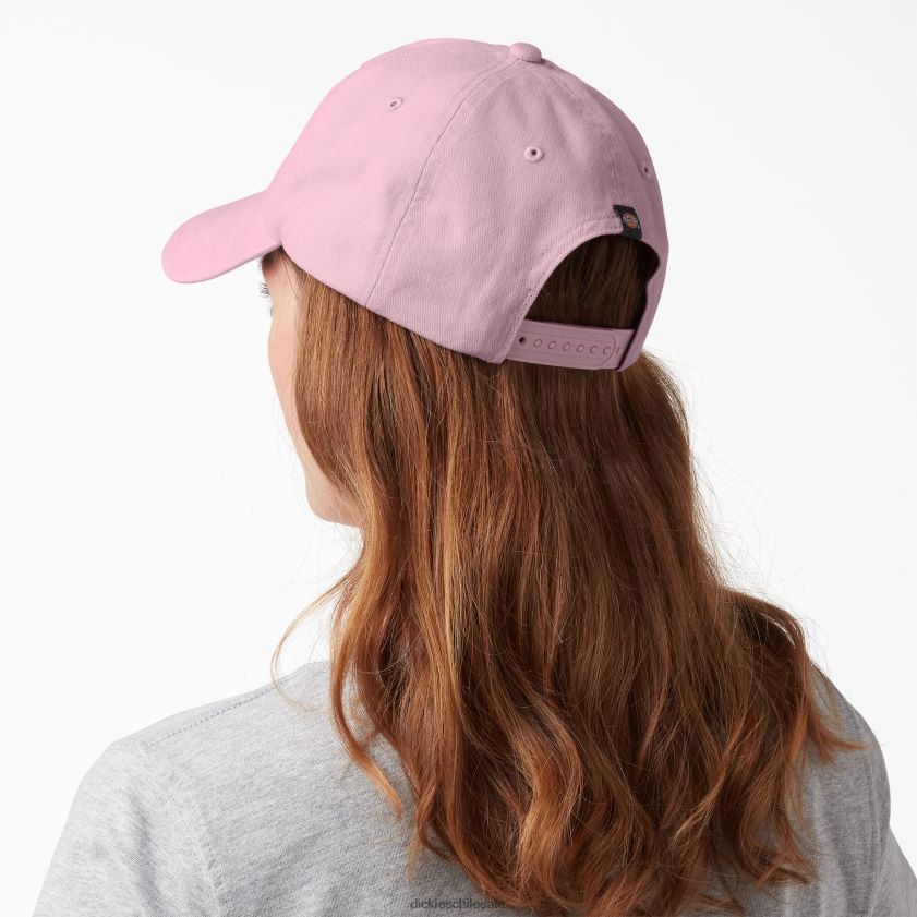 sombras malvas (vs) unisexo gorra de lona lavada Dickies accesorios X4H0F2890