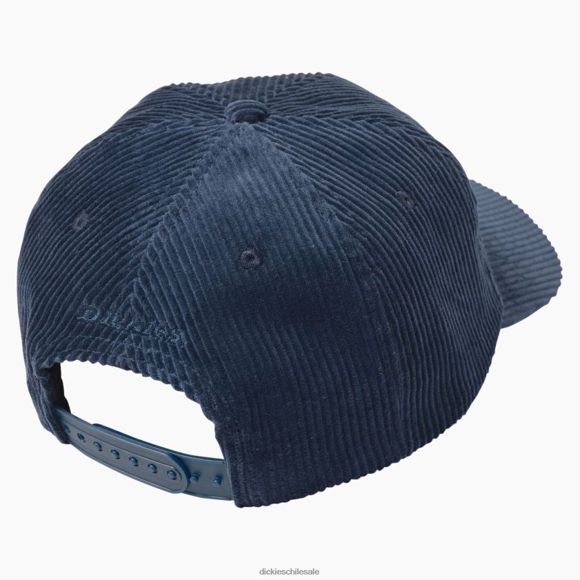 tinta azul marino (ik) unisexo gorra de pana jake hayes Dickies accesorios X4H0F1517