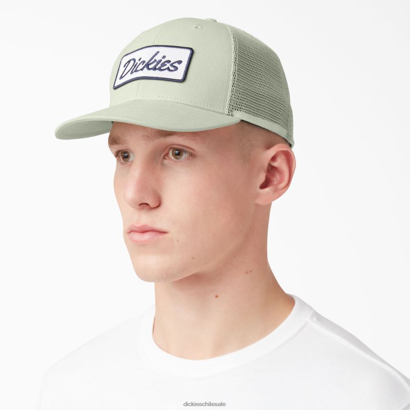 verde celadón/nube (c2c) unisexo gorra trucker con parche del logo Dickies accesorios X4H0F2904