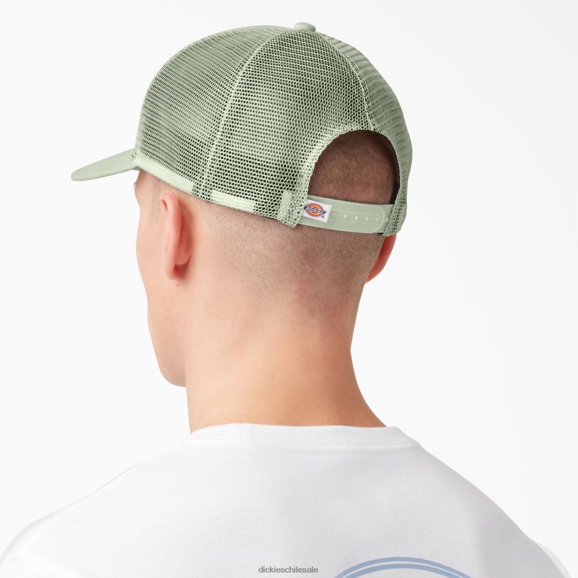 verde celadón/nube (c2c) unisexo gorra trucker con parche del logo Dickies accesorios X4H0F2904