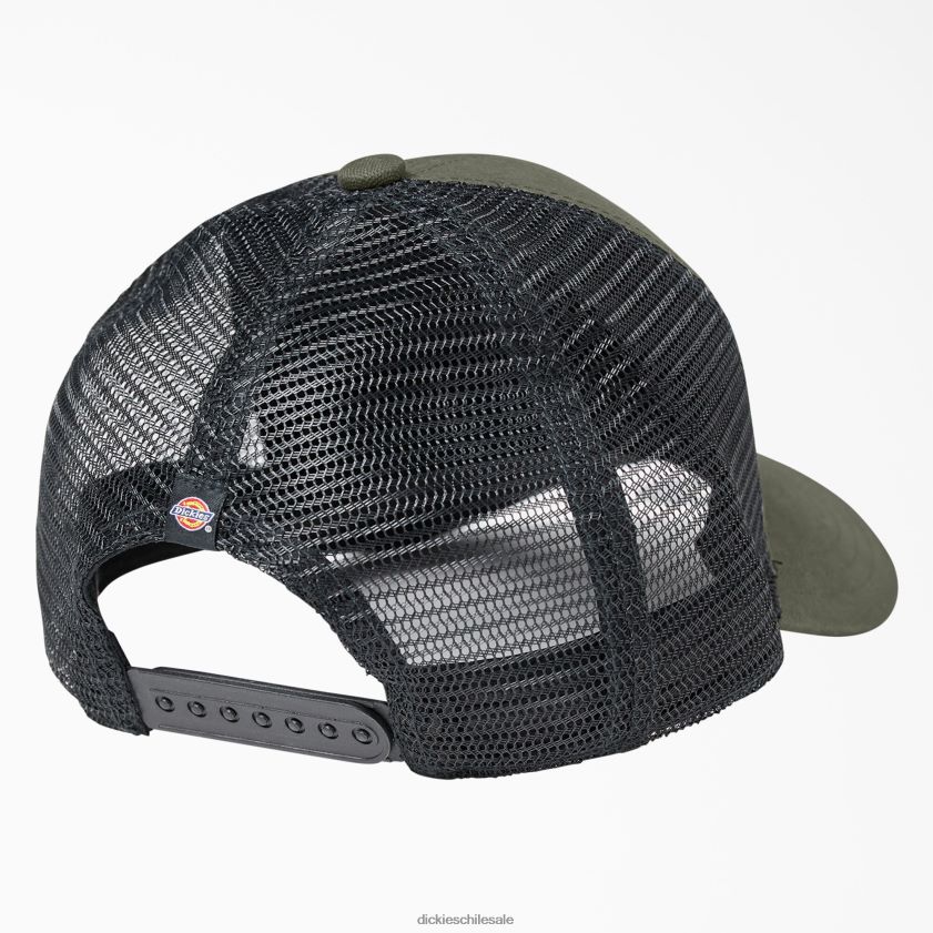 verde musgo (ms) unisexo gorra de camionero de lona con parche de ropa de trabajo Dickies accesorios X4H0F2806