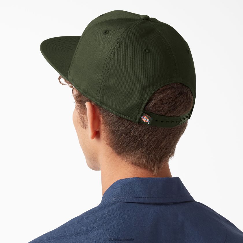verde oliva (og) unisexo gorra plana de skate Dickies accesorios X4H0F2848