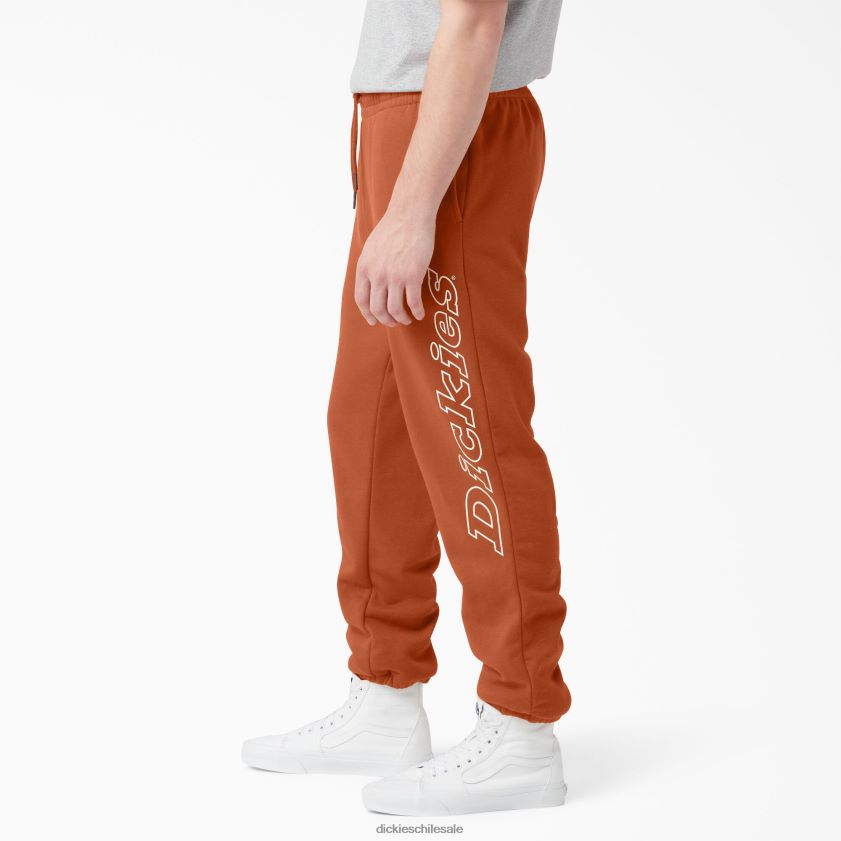 regular hombres pantalones de chándal uniontown Dickies vestir X4H0F312