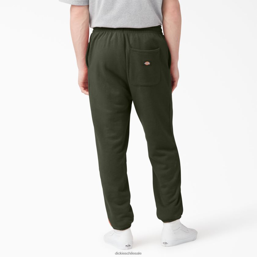 regular hombres pantalones de chándal uniontown Dickies vestir X4H0F314