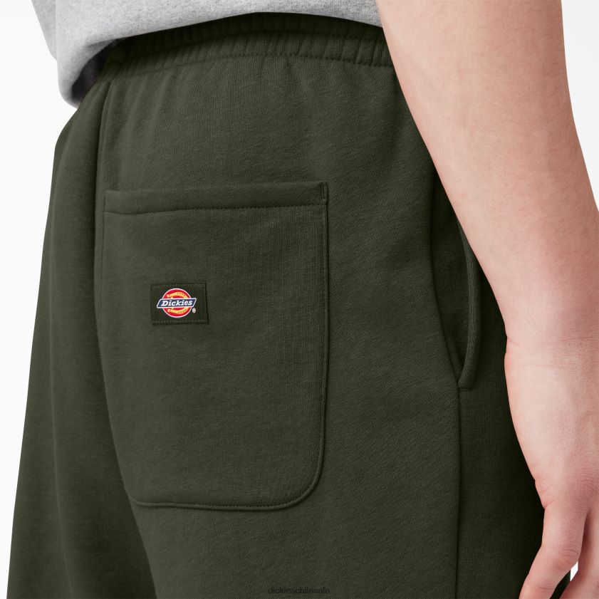 regular hombres pantalones de chándal uniontown Dickies vestir X4H0F314
