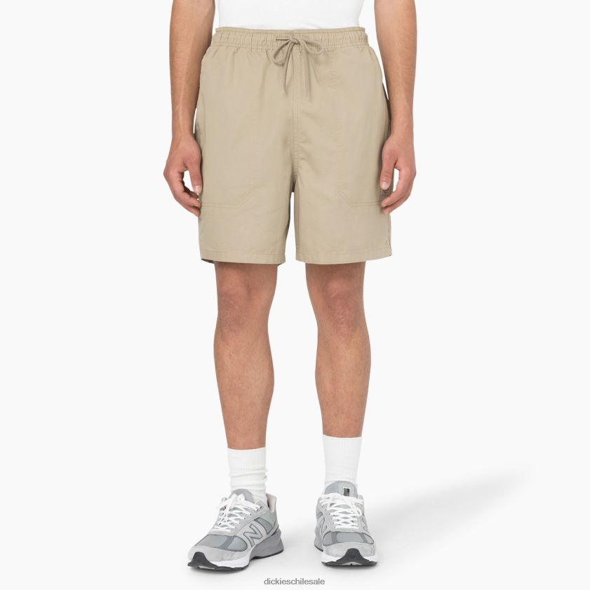arena del desierto (ds) hombres pantalones cortos pelícano rápidos 6" Dickies vestir X4H0F452 arena del desierto (ds) hombres pantalones cortos pelícano rápidos 6" Dickies vestir X4H0F452