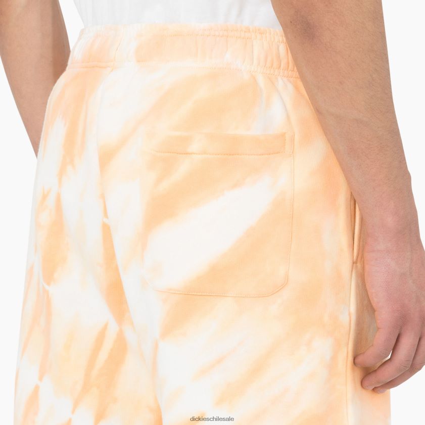 impala (ma2) hombres shorts westfir 8\" Dickies vestir X4H0F480