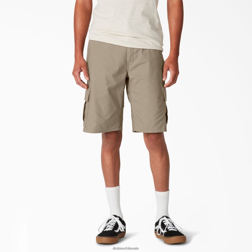 arena del desierto (ds) hombres shorts cargo de skate 11" Dickies vestir X4H0F418
