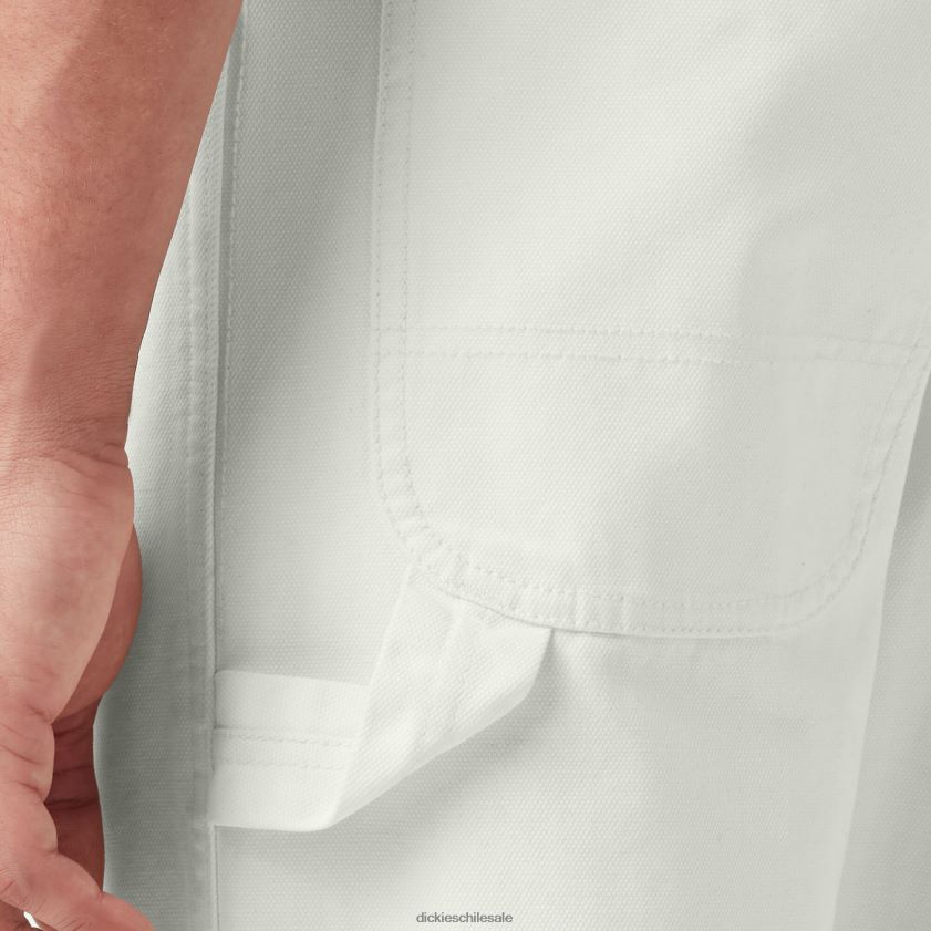 nube lavada a la piedra (s2c) hombres pantalones de carpintero de pato lavado a la piedra de corte regular Dickies vestir X4H0F254