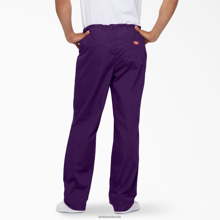 berenjena morada (huevo) hombres pantalones médicos unisex eds signature Dickies vestir X4H0F1310
