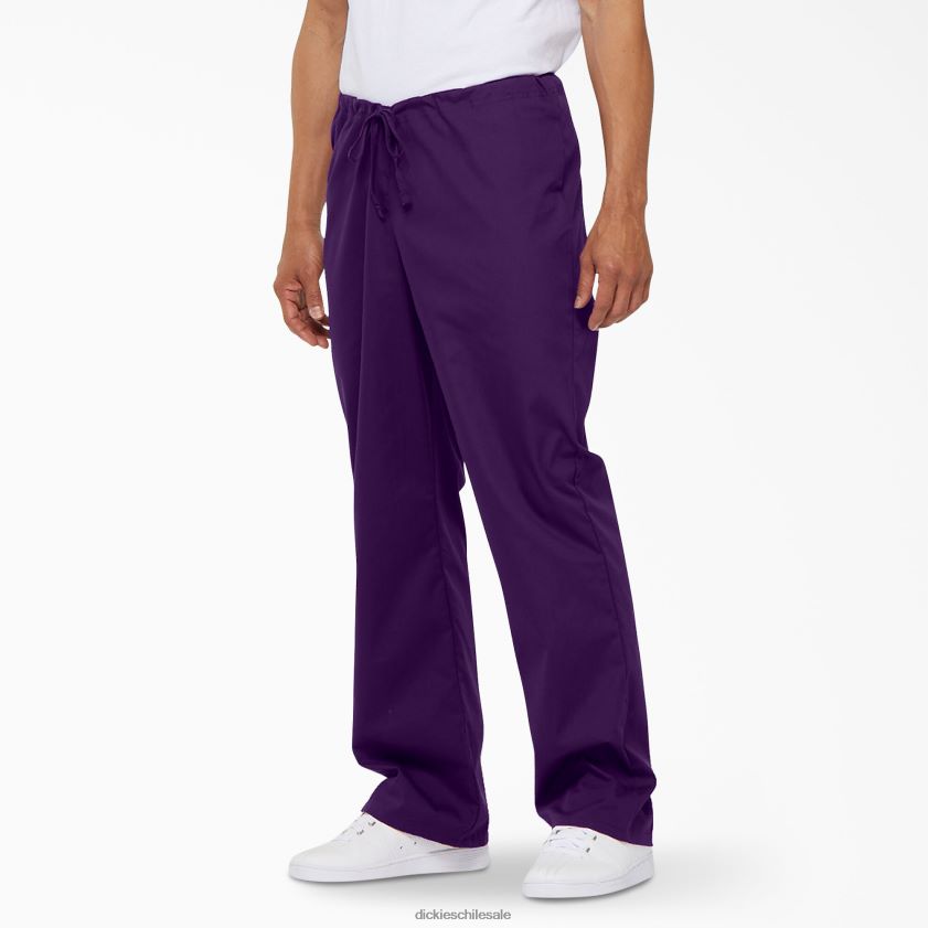 berenjena morada (huevo) hombres pantalones médicos unisex eds signature Dickies vestir X4H0F1310