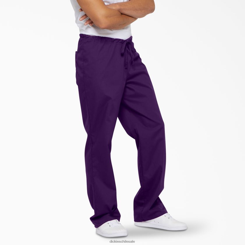 berenjena morada (huevo) hombres pantalones médicos unisex eds signature Dickies vestir X4H0F1310