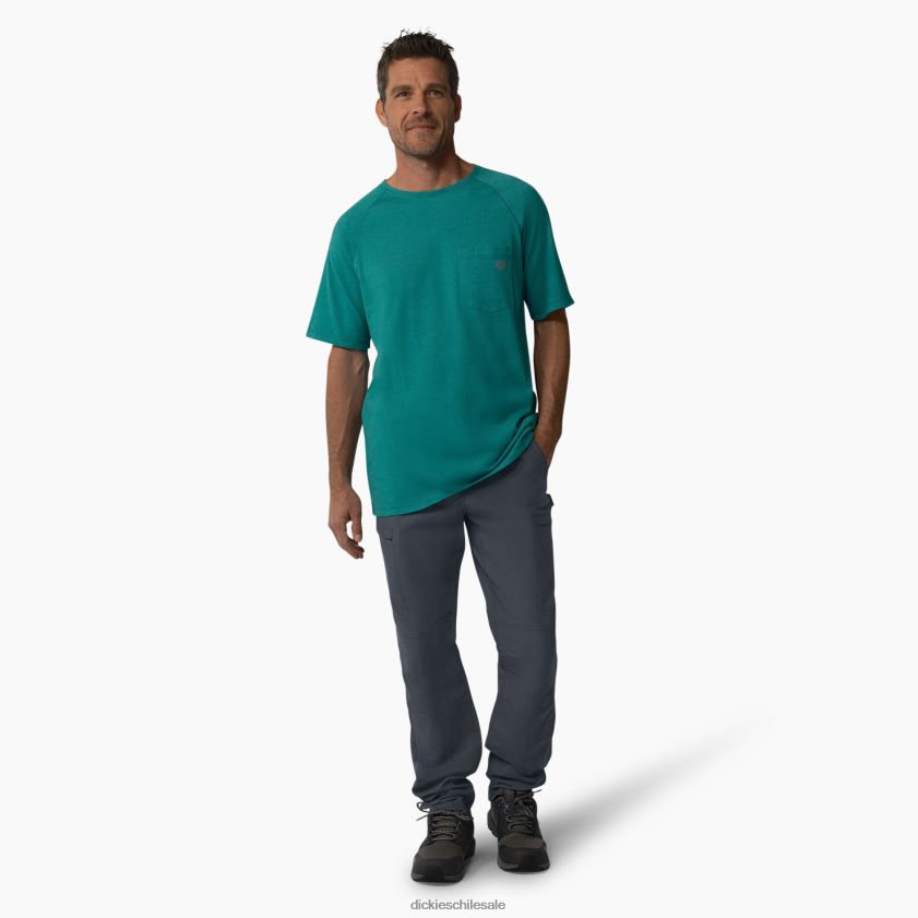 gris carbón (ch) hombres Proteger los pantalones de carga ripstop refrescantes Dickies vestir X4H0F280