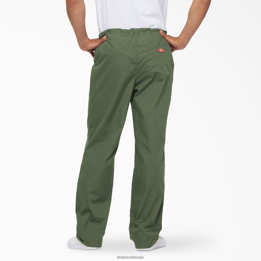 verde oliva (oli) hombres pantalones médicos unisex eds signature Dickies vestir X4H0F1318