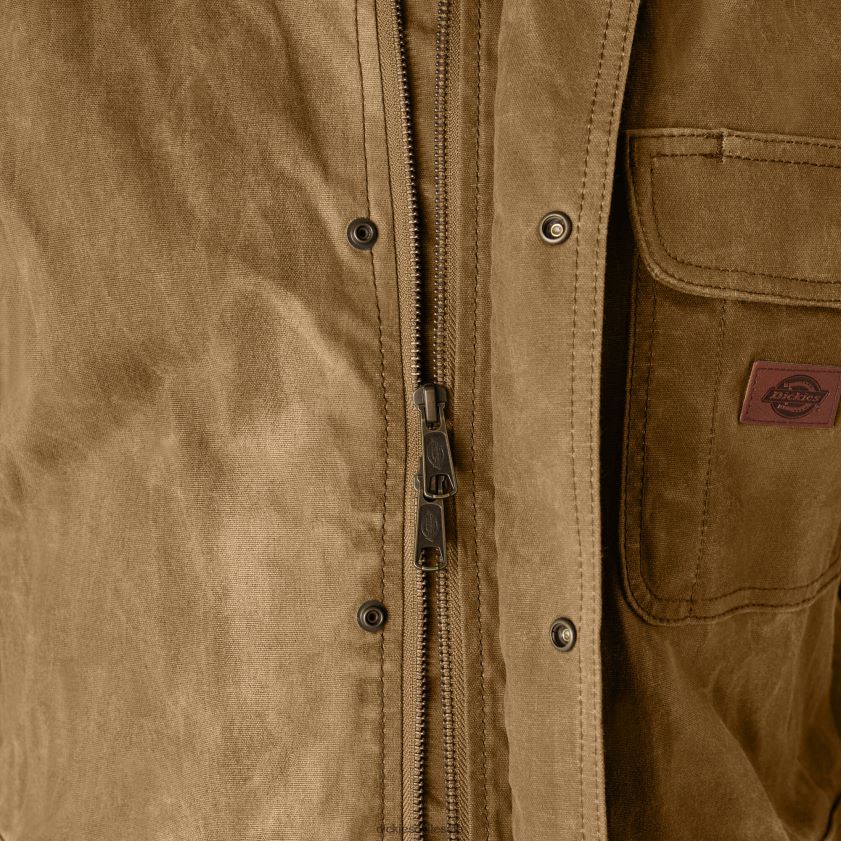 bellota (ac2) hombres abrigo de lona encerada Dickies vestir X4H0F1014