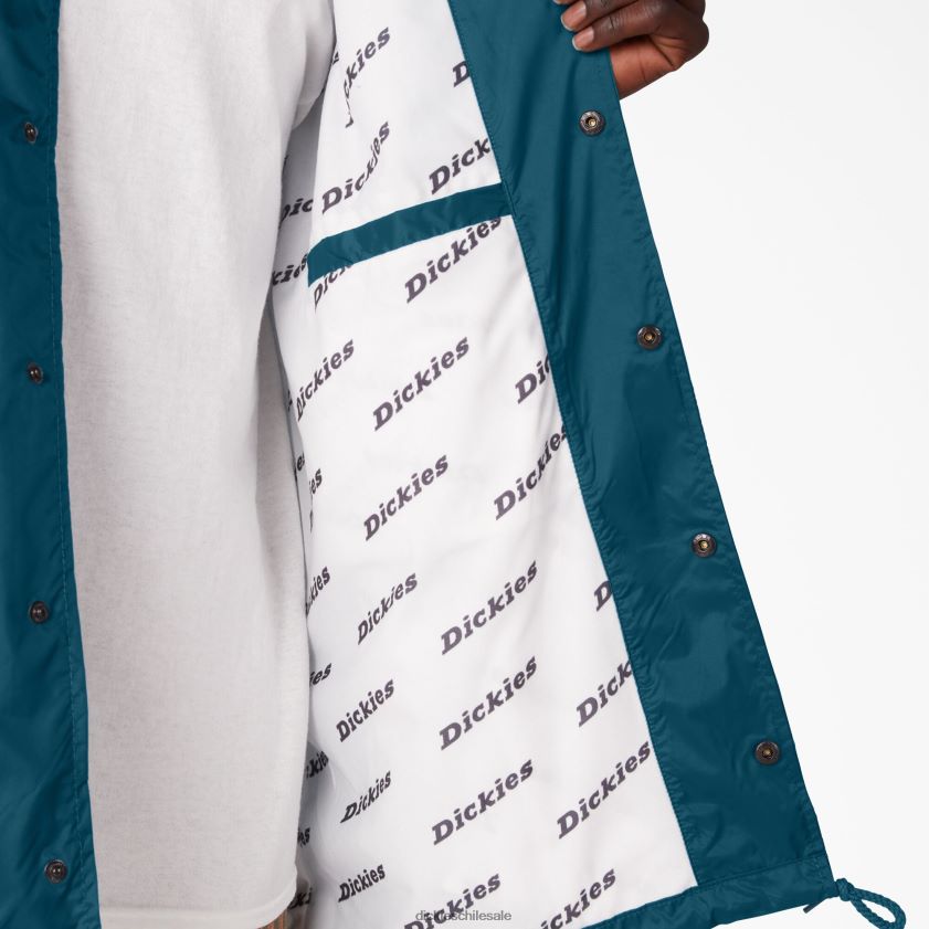 cielo profundo (ds1) hombres chamarra entrenador de nailon Dickies vestir X4H0F1144