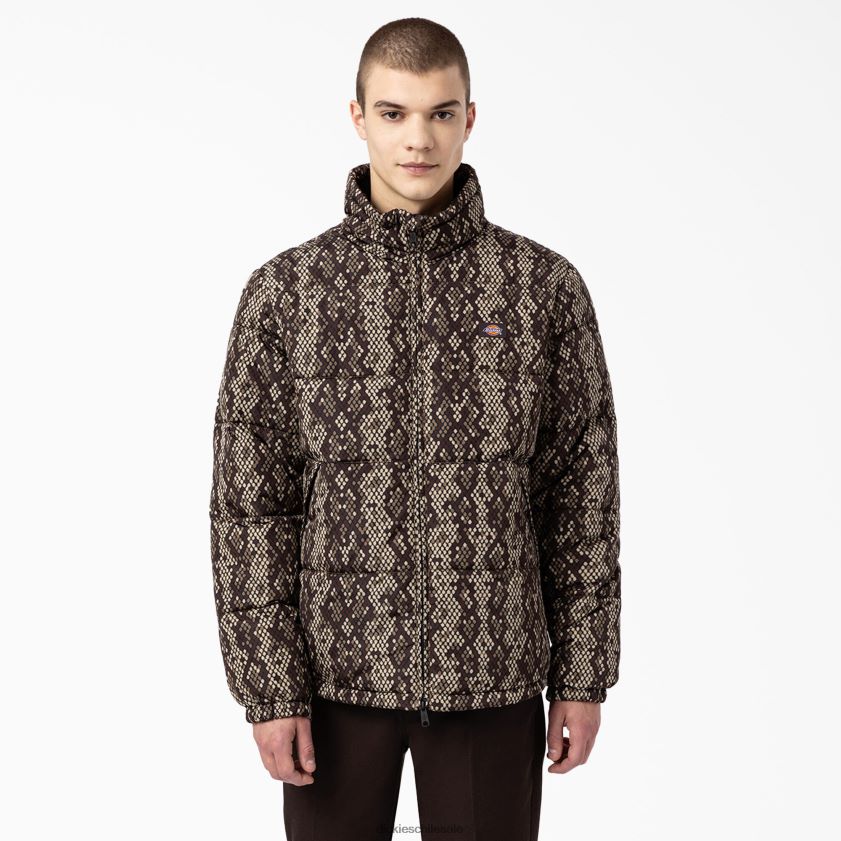 negro (negro) hombres chaqueta acolchada camden Dickies vestir X4H0F1187