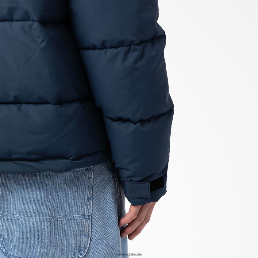regular hombres chaqueta acolchada tipo anorak con vista al glaciar Dickies vestir X4H0F1176