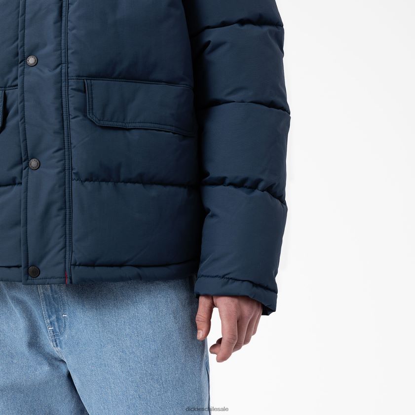 regular hombres chaqueta acolchada tipo anorak con vista al glaciar Dickies vestir X4H0F1176