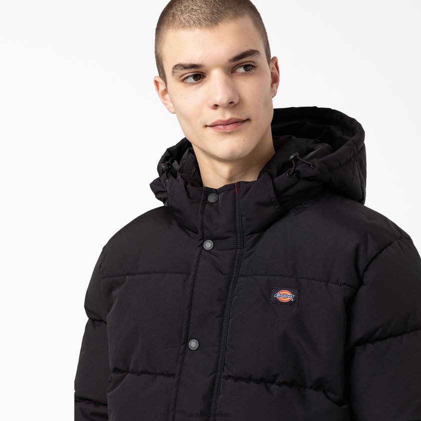 regular hombres chaqueta acolchada tipo anorak con vista al glaciar Dickies vestir X4H0F1177
