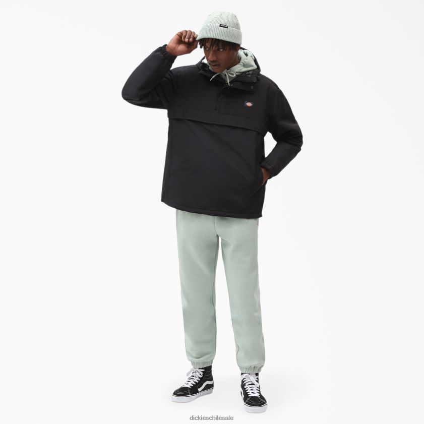 regular hombres chaqueta tipo anorak con vista al glaciar Dickies vestir X4H0F1160