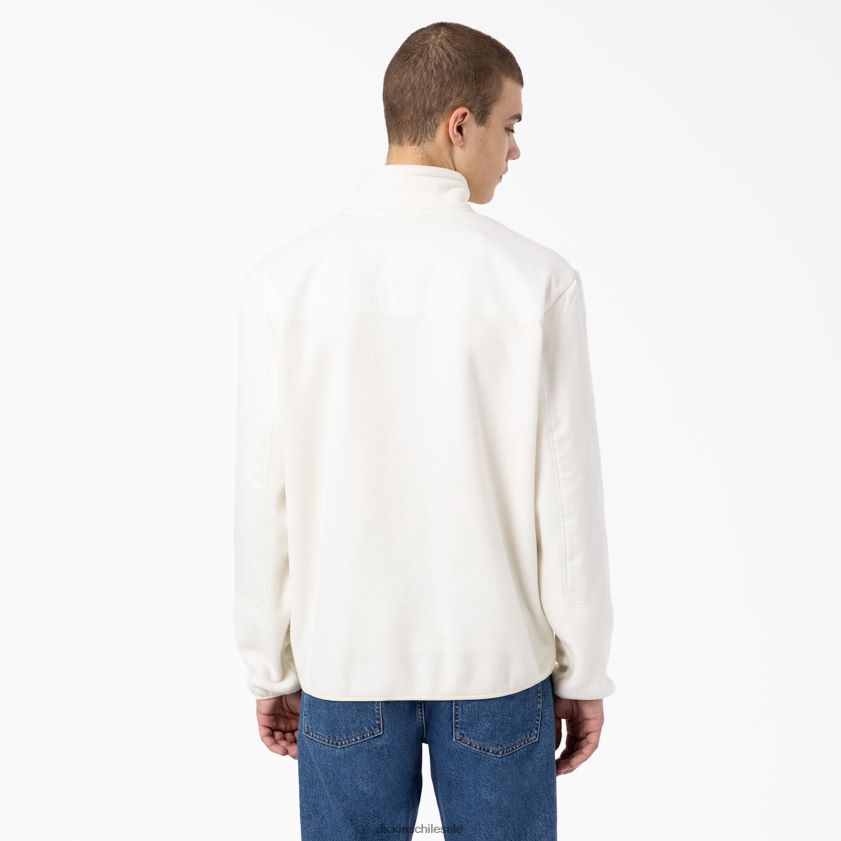 regular hombres jersey de lana de puerto allen Dickies vestir X4H0F1127