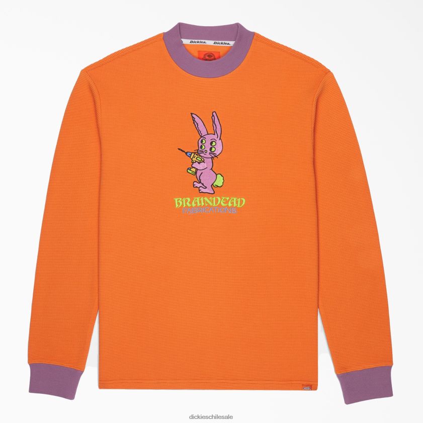 naranja quemada (to1) hombres jersey de punto gofrado con bordado de muerte cerebral Dickies vestir X4H0F731