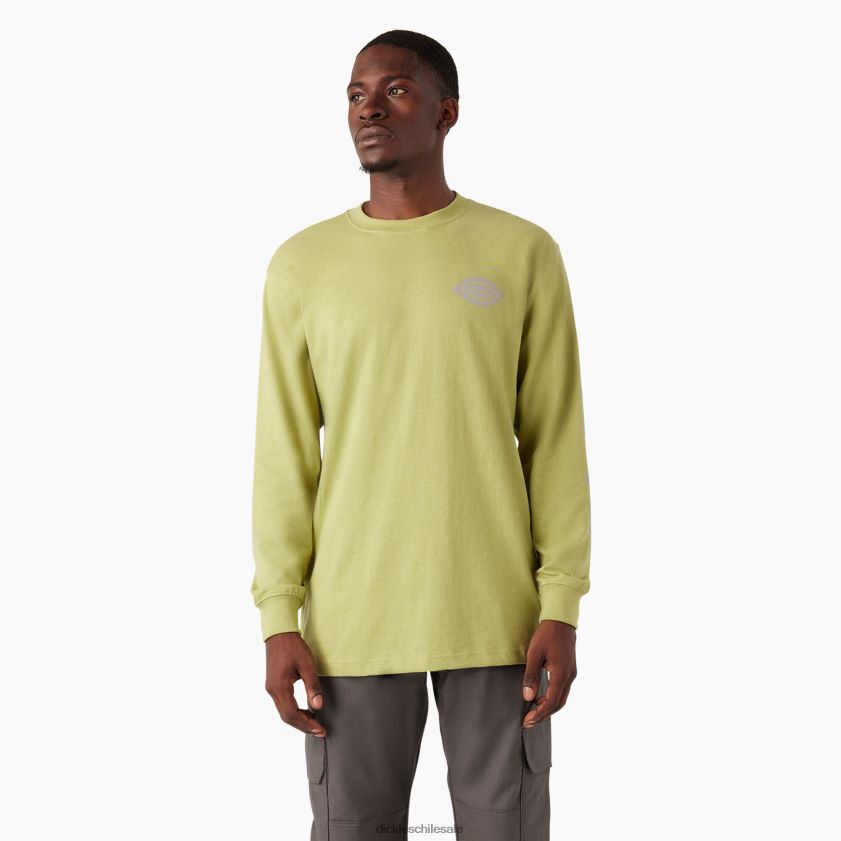 helecho brezo (f2h) hombres playera de manga larga con logo pesado Dickies vestir X4H0F869